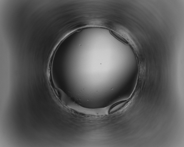 X0000093420908200710121141