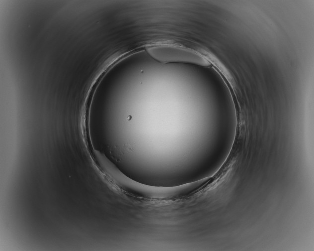 X0000093420909200710121141