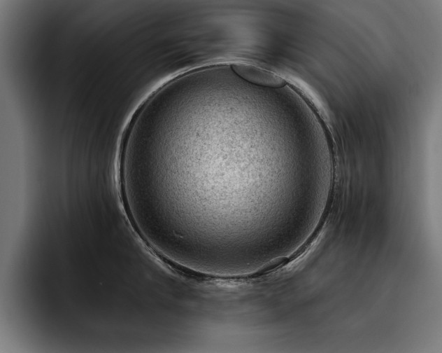 X0000093420910200710121141