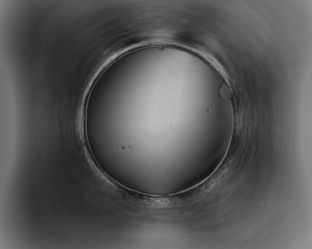X0000093420911200710121141