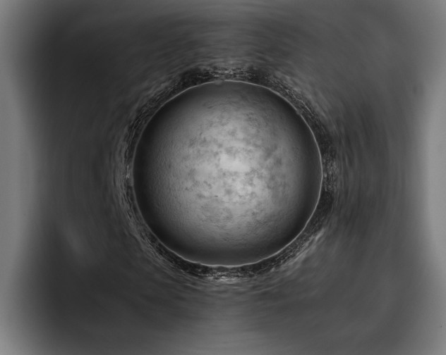 X0000093420913200710121140