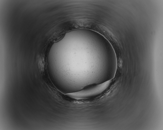 X0000093420915200710121140