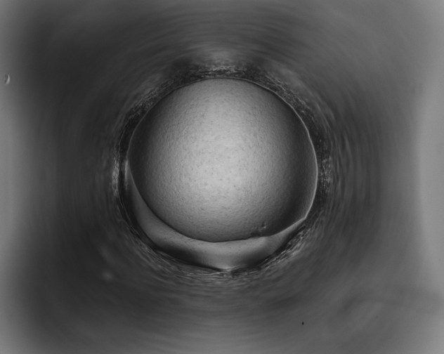 X0000093420916200710121141