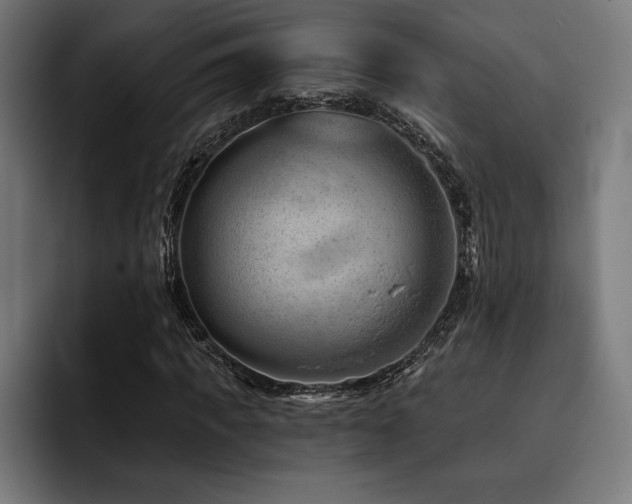 X0000093420917200710121141