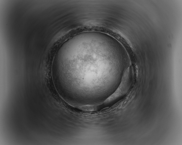 X0000093420919200710121141