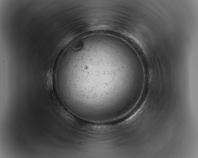 X0000093420921200710121141