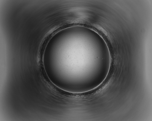 X0000093420922200710121141