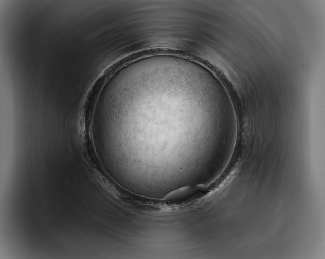 X0000093420923200710121141