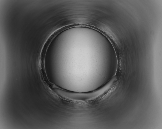 X0000093420924200710121141