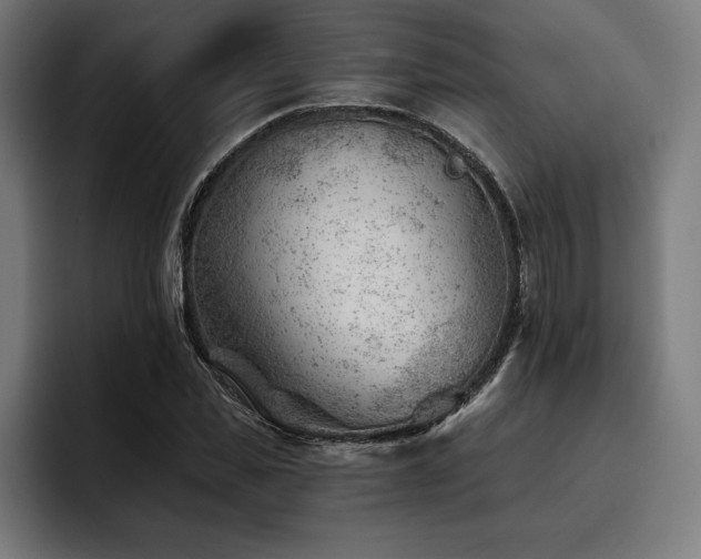 X0000093420925200710121141