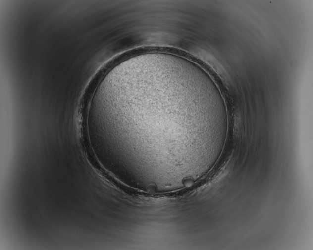 X0000093420926200710121141