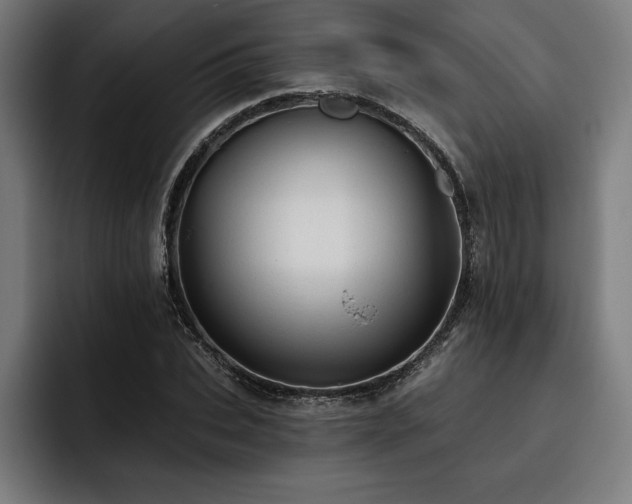 X0000093420927200710121141