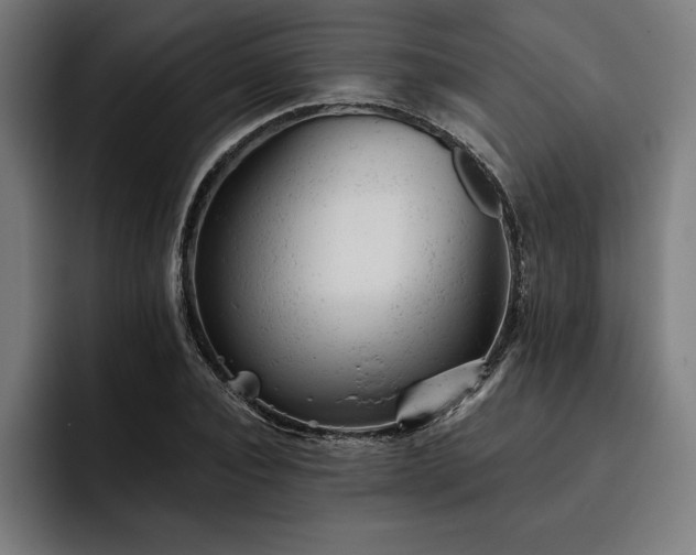 X0000093420928200710121141
