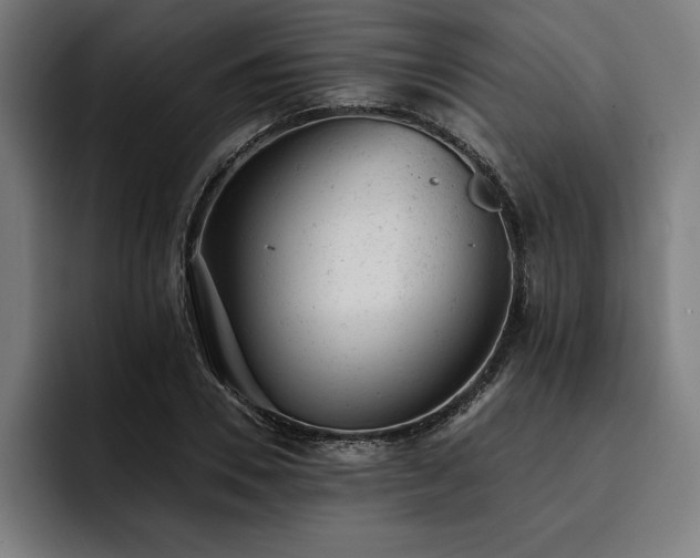 X0000093420930200710121141