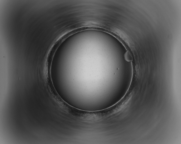 X0000093420931200710121141