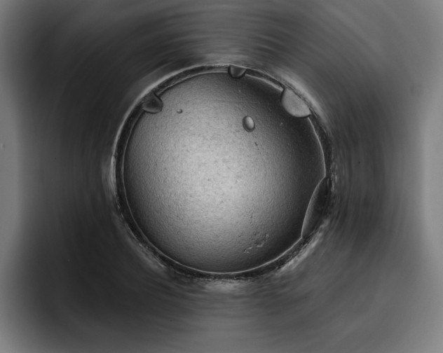 X0000093420932200710121141
