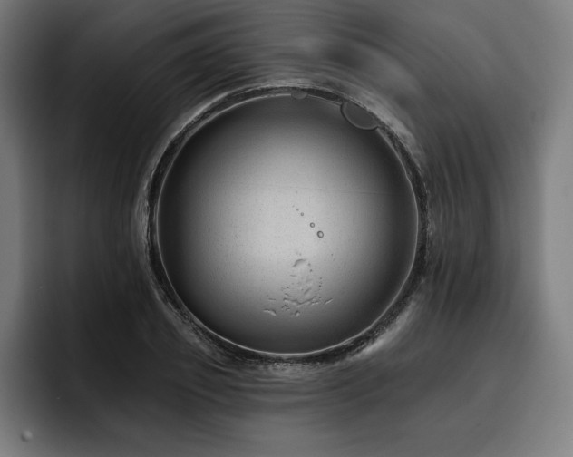 X0000093420933200710121141