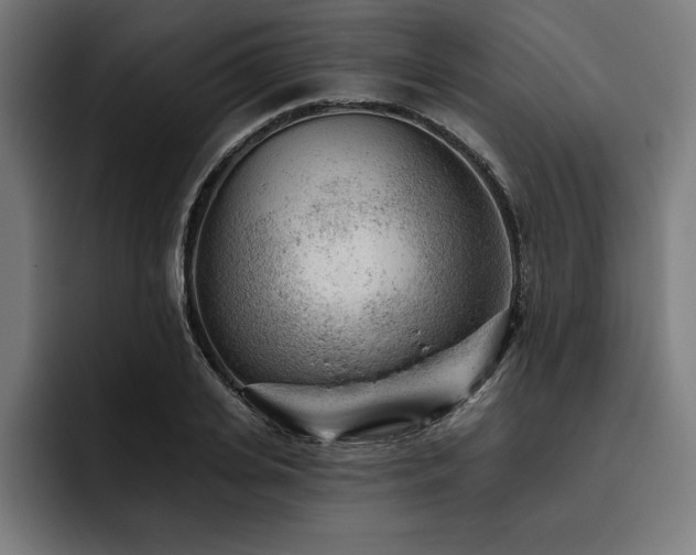X0000093420935200710121141