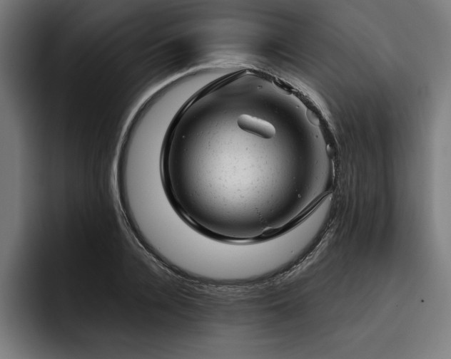 X0000093420936200710121141