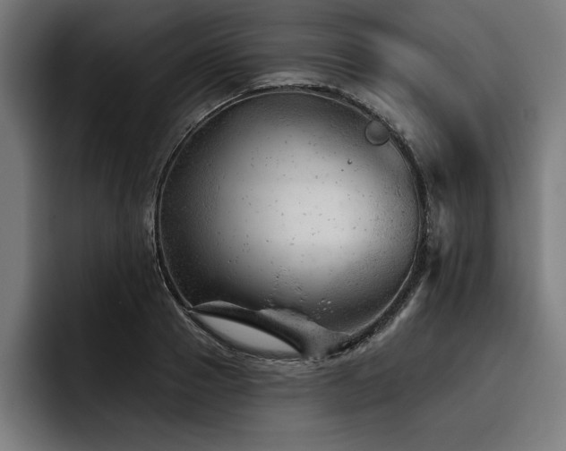 X0000093420937200710121141