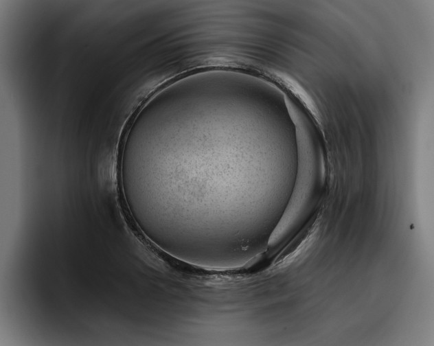 X0000093420938200710121141