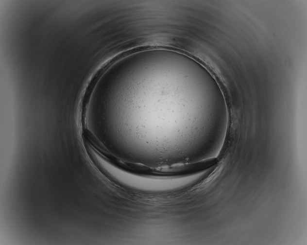 X0000093420939200710121141