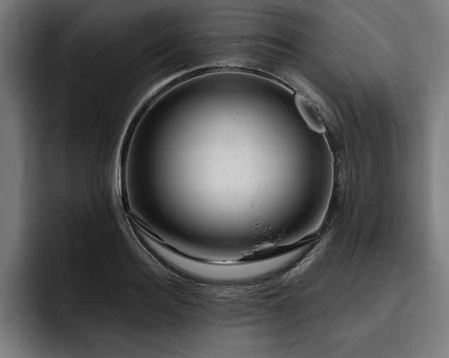 X0000093420940200710121141
