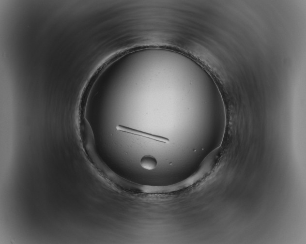 X0000093420942200710121141