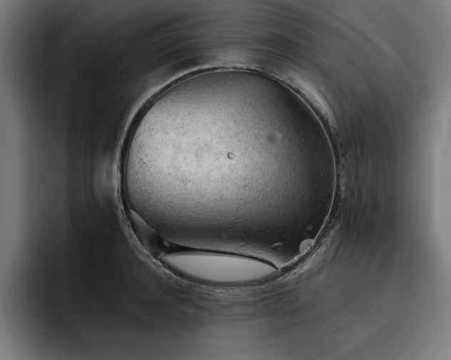 X0000093420944200710121141