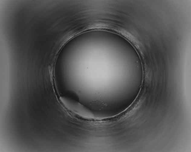 X0000093420945200710121141