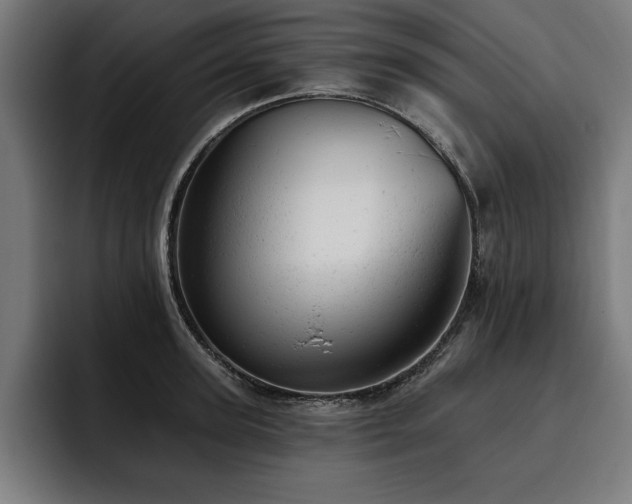 X0000093420947200710121141