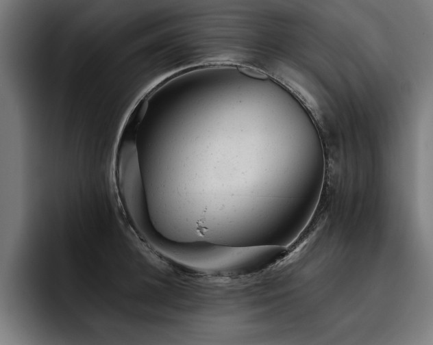 X0000093420948200710121141