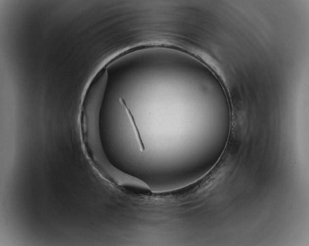 X0000093420951200710121141