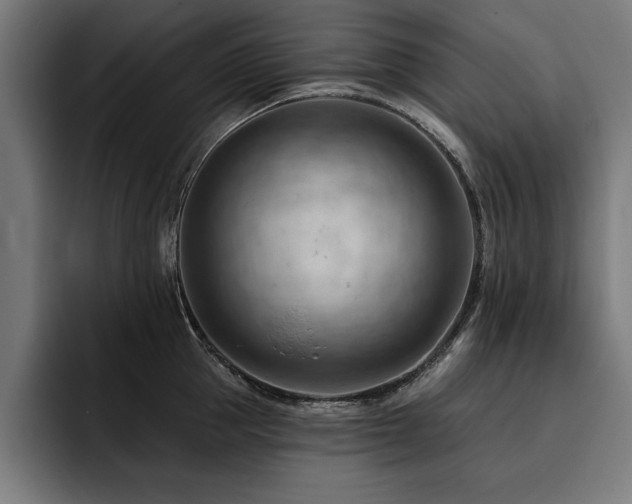 X0000093420953200710121141