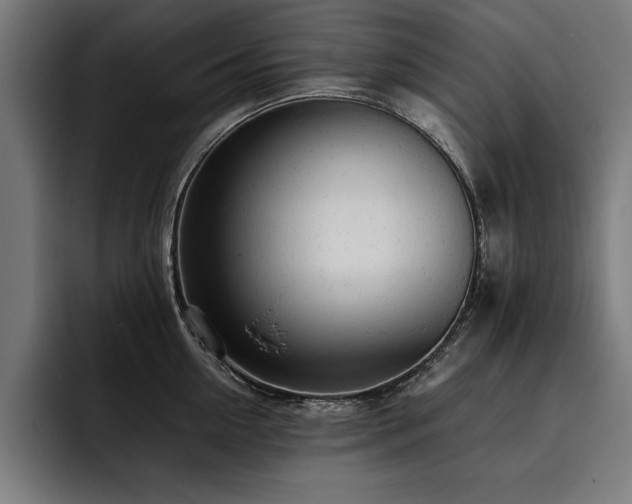 X0000093420954200710121141