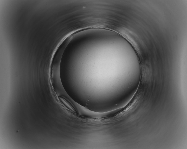 X0000093420956200710121141