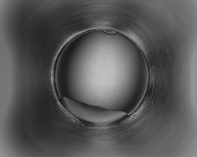 X0000093420958200710121141