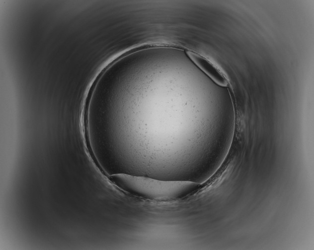 X0000093420959200710121141