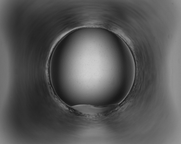 X0000093420960200710121141