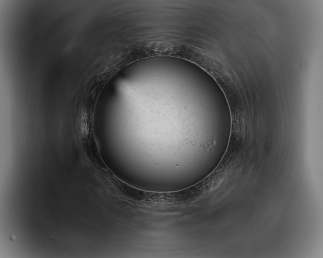 X0000093420962200710121140