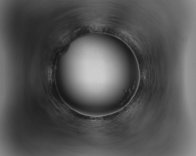 X0000093420964200710121140