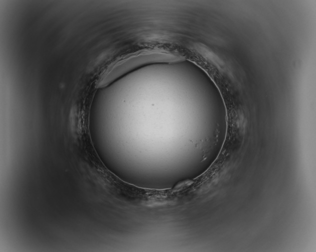 X0000093420965200710121140