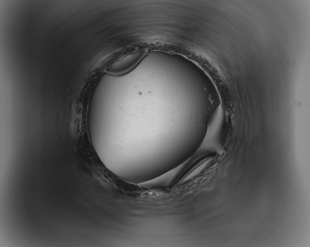 X0000093420968200710121140