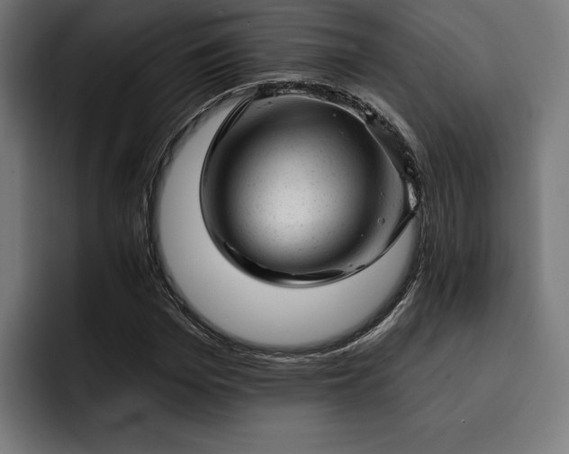X0000093420969200710121140