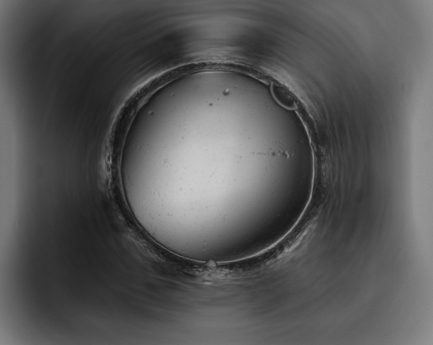 X0000093420971200710121140