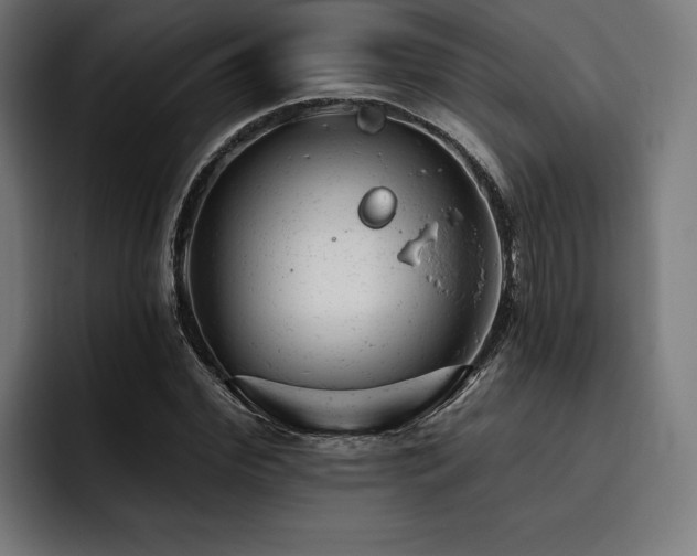 X0000093420972200710121140