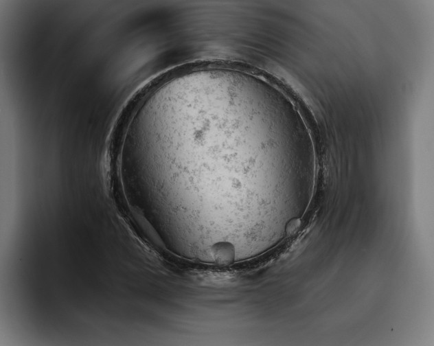 X0000093420975200710121140