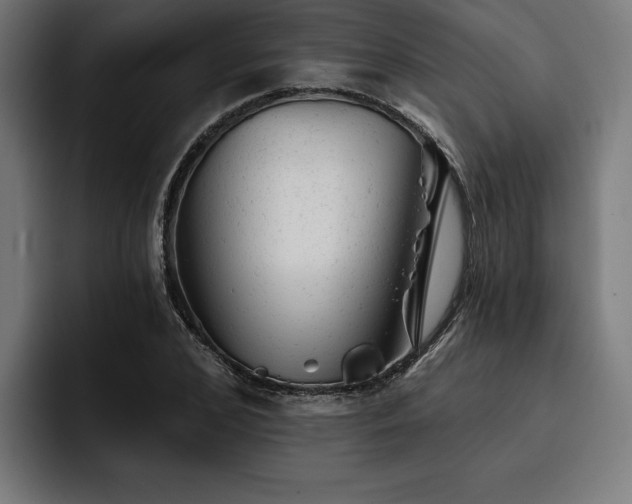 X0000093420976200710121140