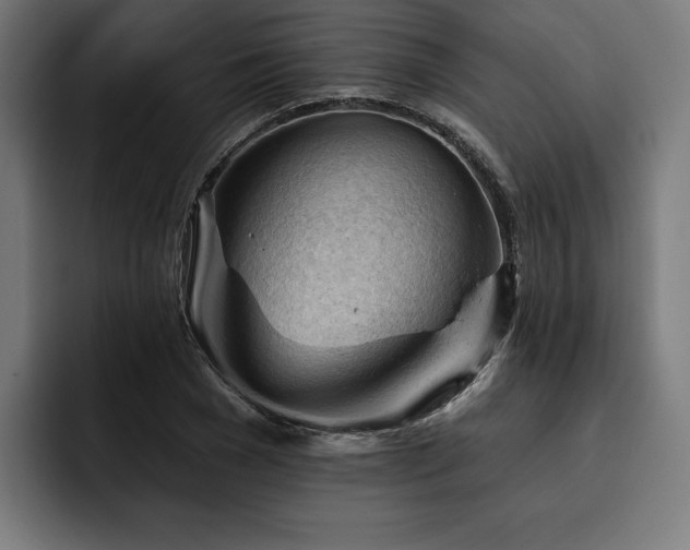 X0000093420977200710121140
