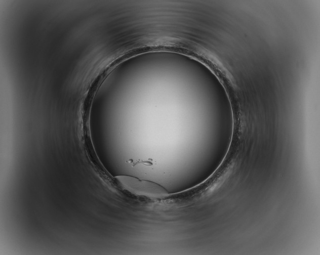 X0000093420978200710121140